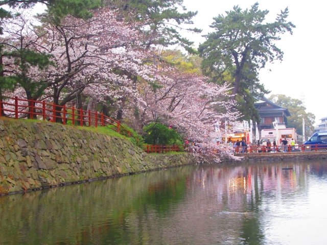 🌳 메카리 공원 이미지 4